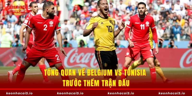 Tổng quan về  Belgium vs Tunisia trước thềm trận đấu
